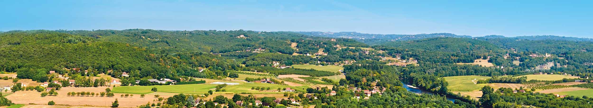 Porcs élevés en Périgord